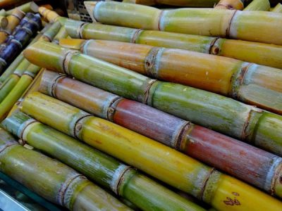 SWAN Systems to manage water and nutrient use in sugarcane and cotton