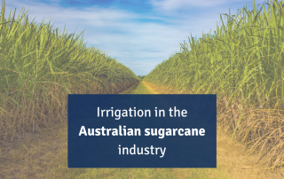 Irrigation Sugarcane SWAN Systems