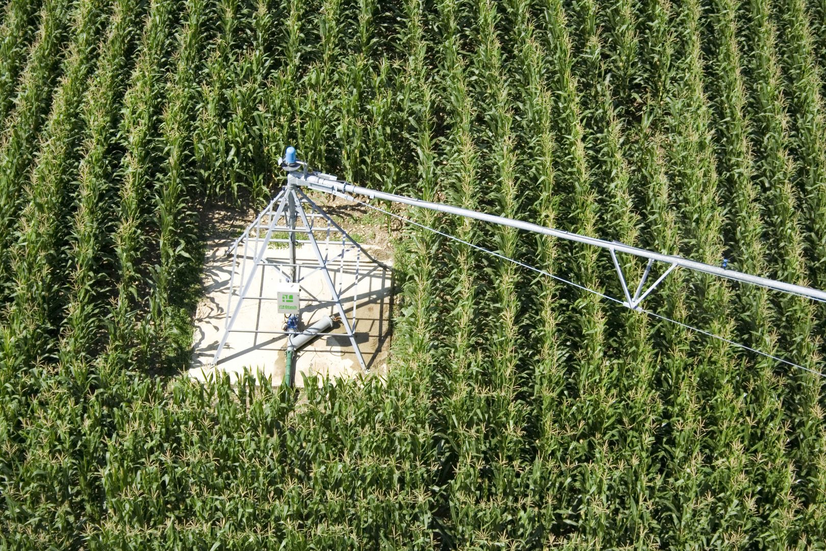Sugarcane irrigation overhead