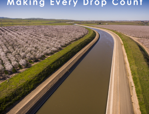 Water management software for almonds – Making Every Drop Count